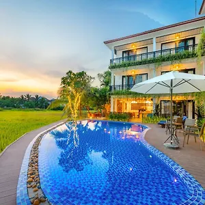 Sunkised Paddy Hội An